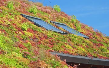 Preston St Mary living roof systems